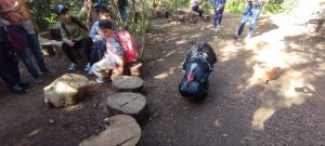 photo_5906889404776039952_y