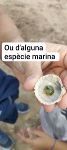 photo_5909108073212004077_y