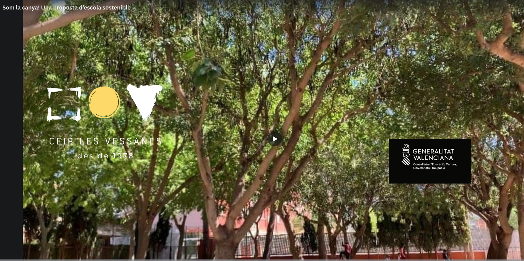 Screenshot 2025-06-10 at 08-57-29 Som la canya! Una proposta d’escola sostenible
