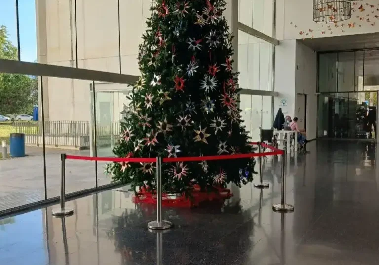 arbre nadal hospital