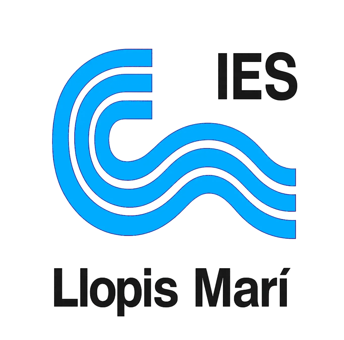 Logo IES JOAN LLOPIS MARÍ