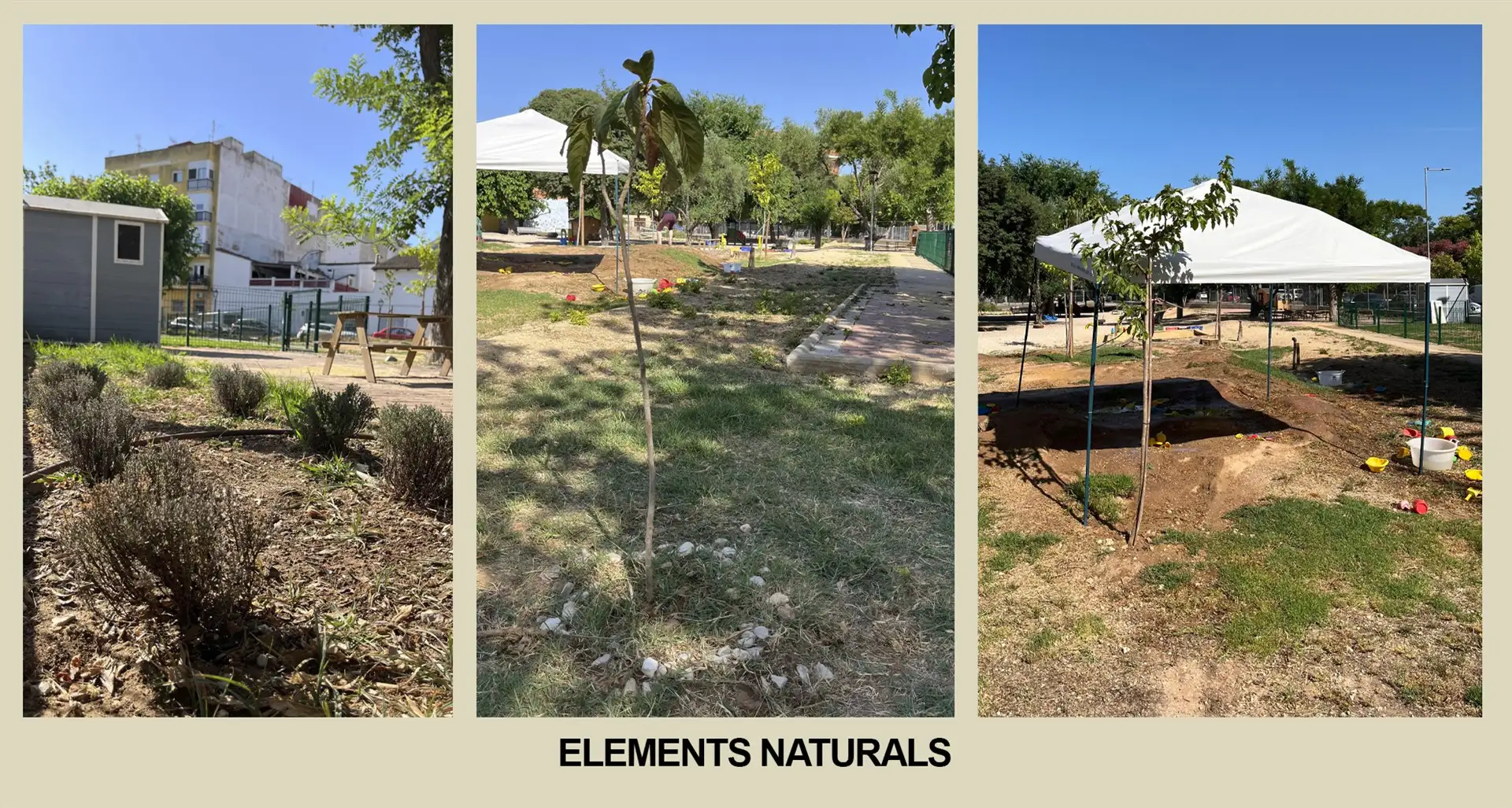 elements-naturals-CEI