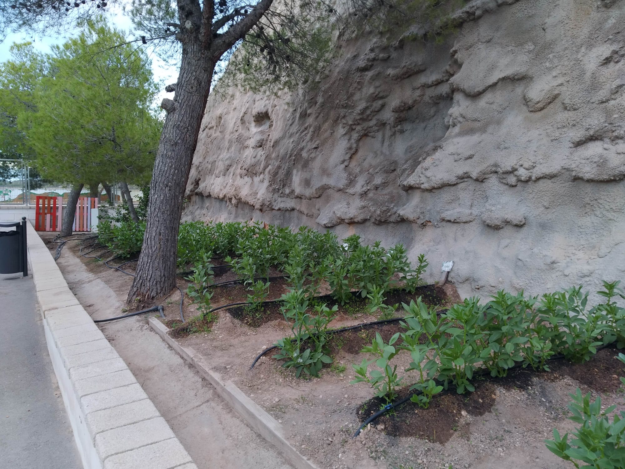 84b001fe-4c47-4144-8b34-c9674186c25e