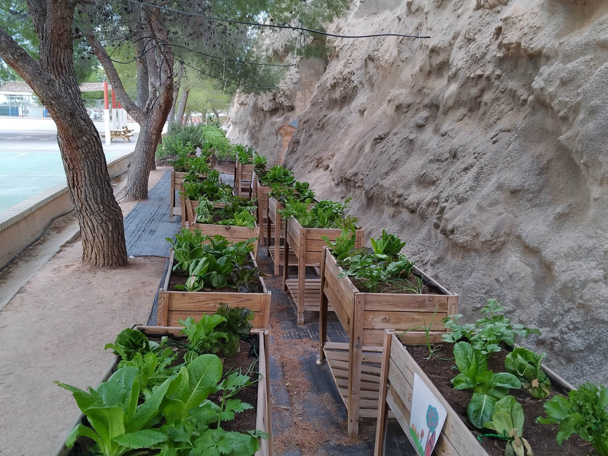 d564e7e2-e026-4d8d-8f32-bb1fc22879cc