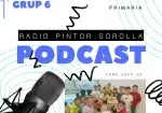 programa 6