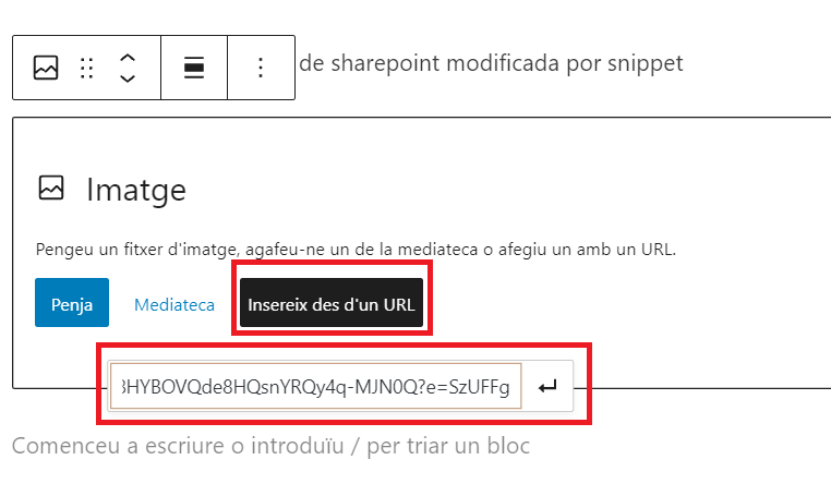 Imatge inserir URL