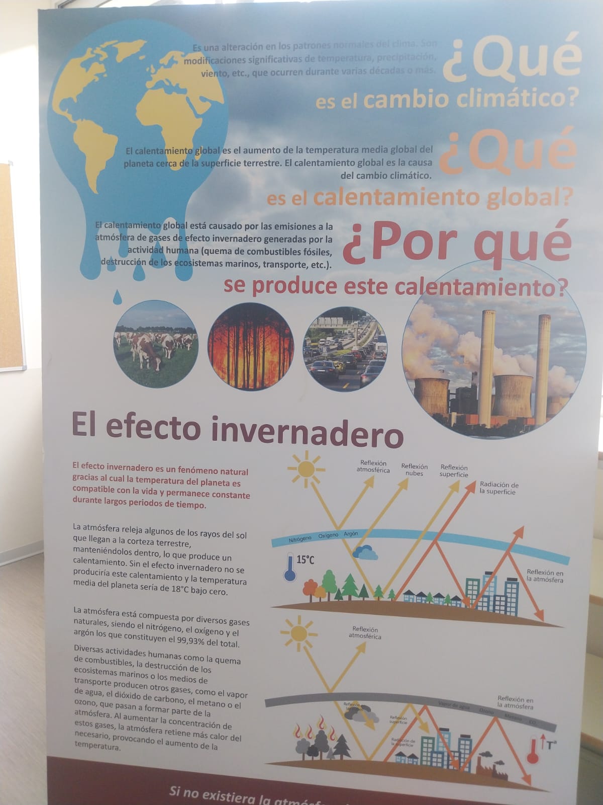 posidonia-i-canvi-climatic