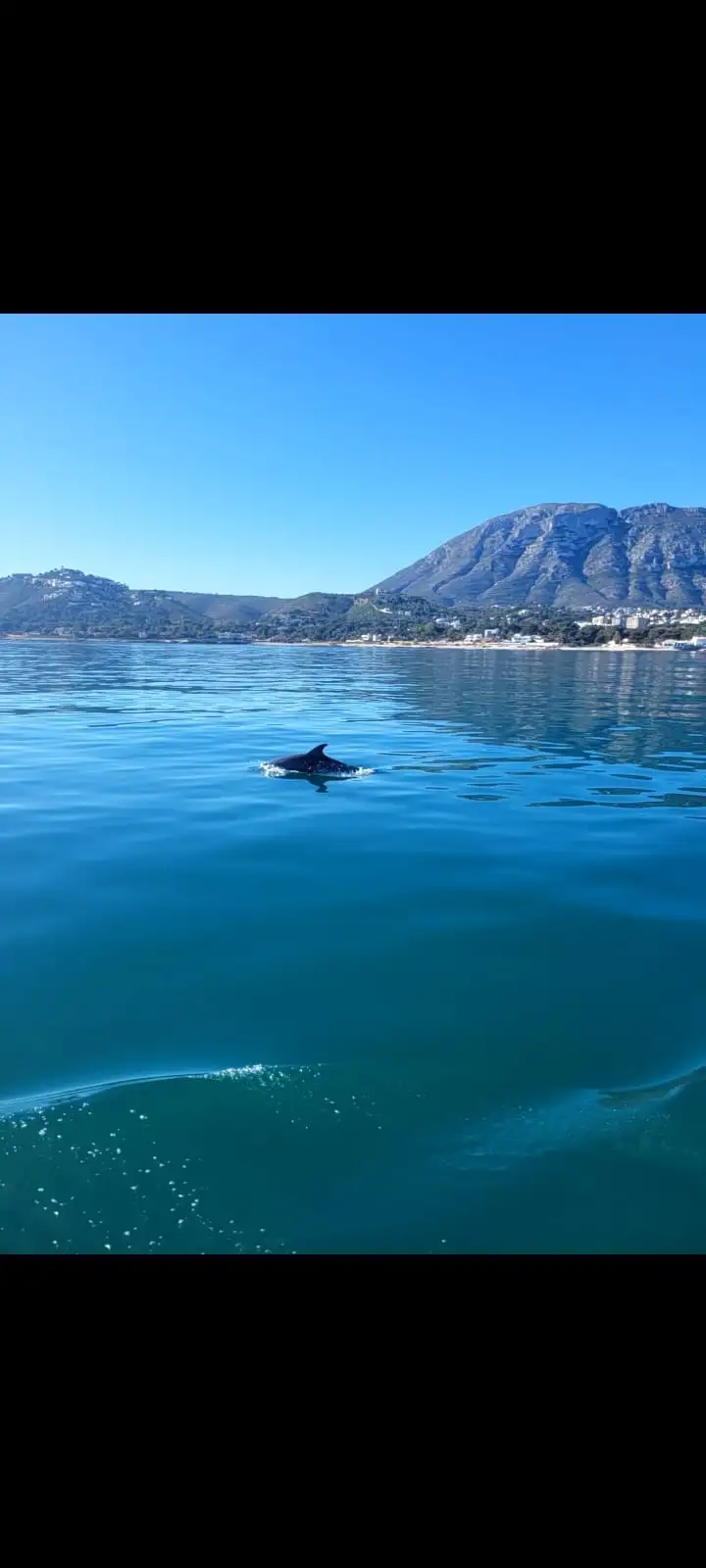 WhatsApp Image 2026-03-27 at 13.11.00