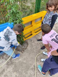 e1c7696b-ce56-4c7a-9ffd-8856507a2c39