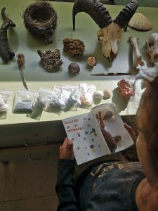 3bf1f655-15ed-4805-a238-ea2c2c554b48