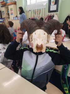 d1e00a11-4e63-4be1-b0de-30be7fb049fe