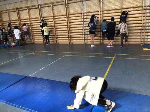 imagen-20250509-081441-e6694db4