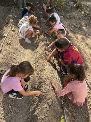 imagen-20251003-104159-397131ec