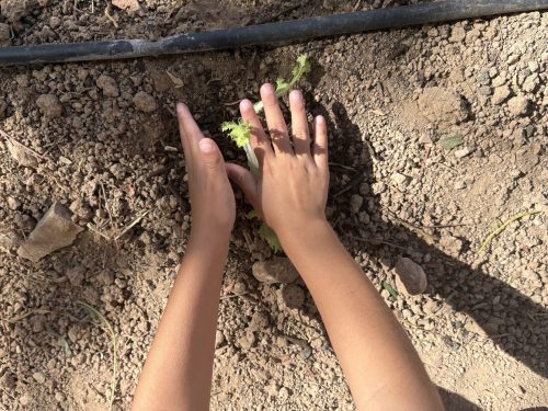 imagen-20251003-104739-0f6d1a0c