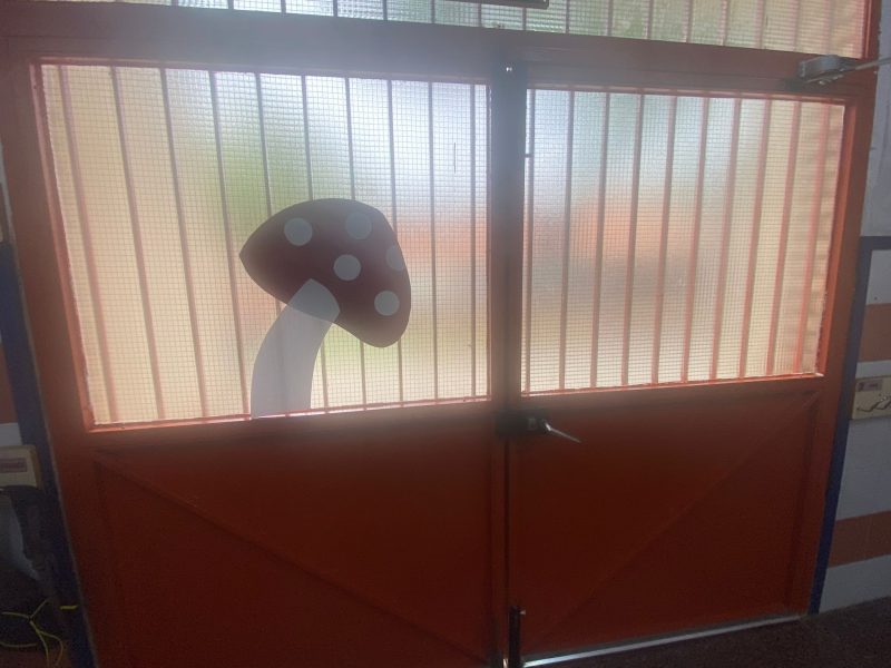 a9699ece-7da5-4c37-9d4c-5608a28df0b8