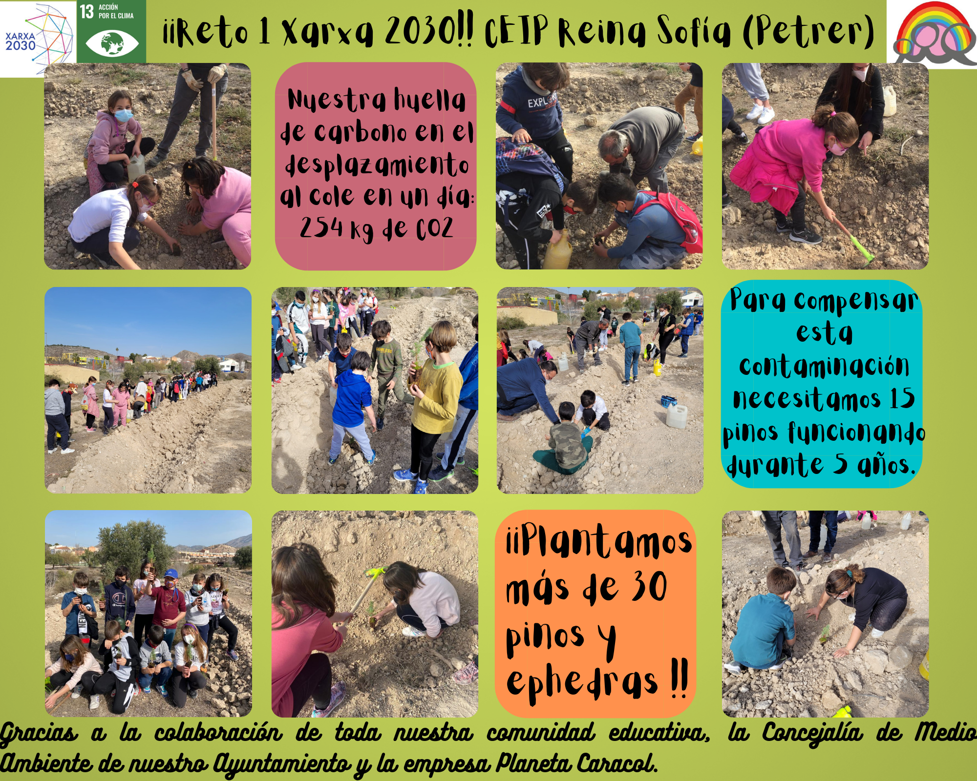 Azul Blanco Comienza Día Foto Collage