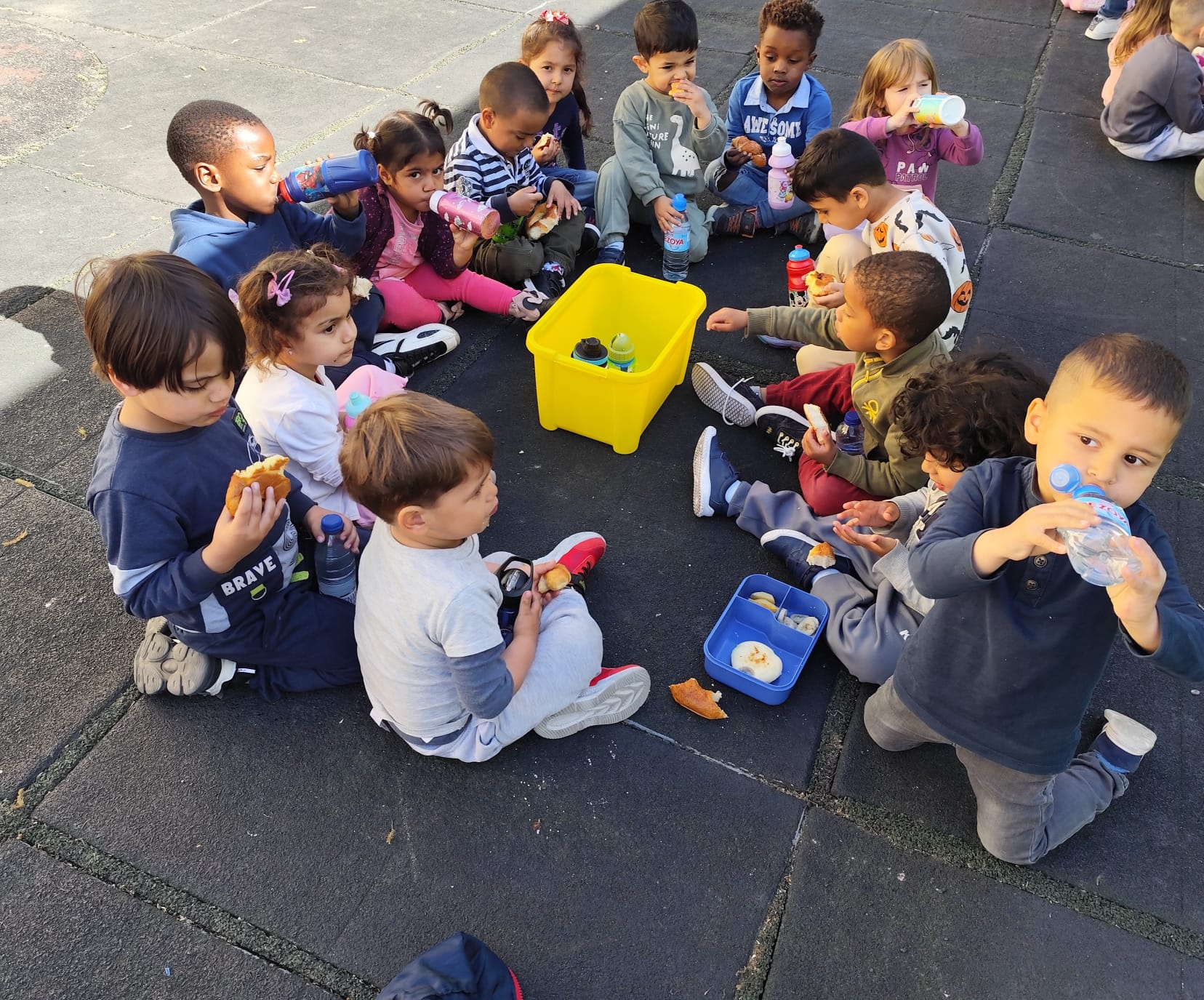 WhatsApp-Image-2025-05-06-at-16.43.50