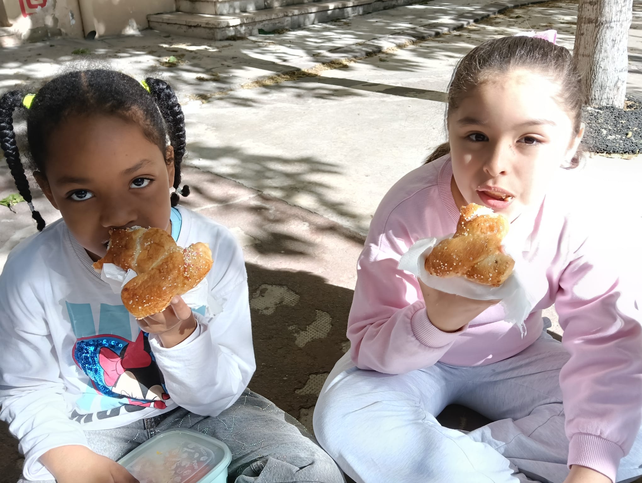 WhatsApp-Image-2025-05-06-at-19.15.07