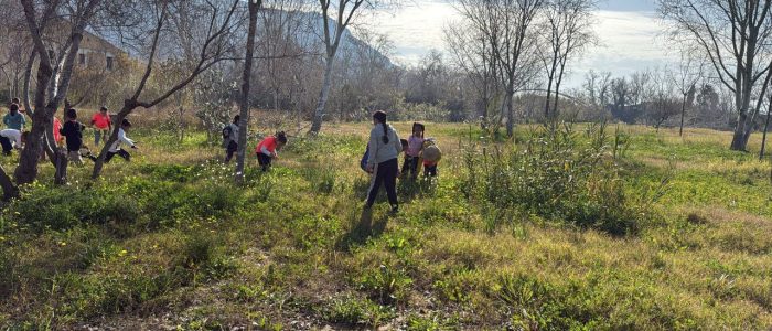 photo_2025-02-18_08-47-00