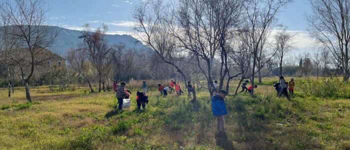 photo_2025-02-18_08-47-08