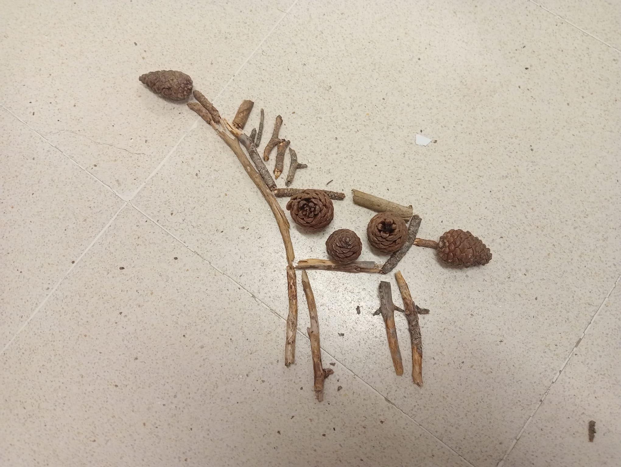 elements naturals 12