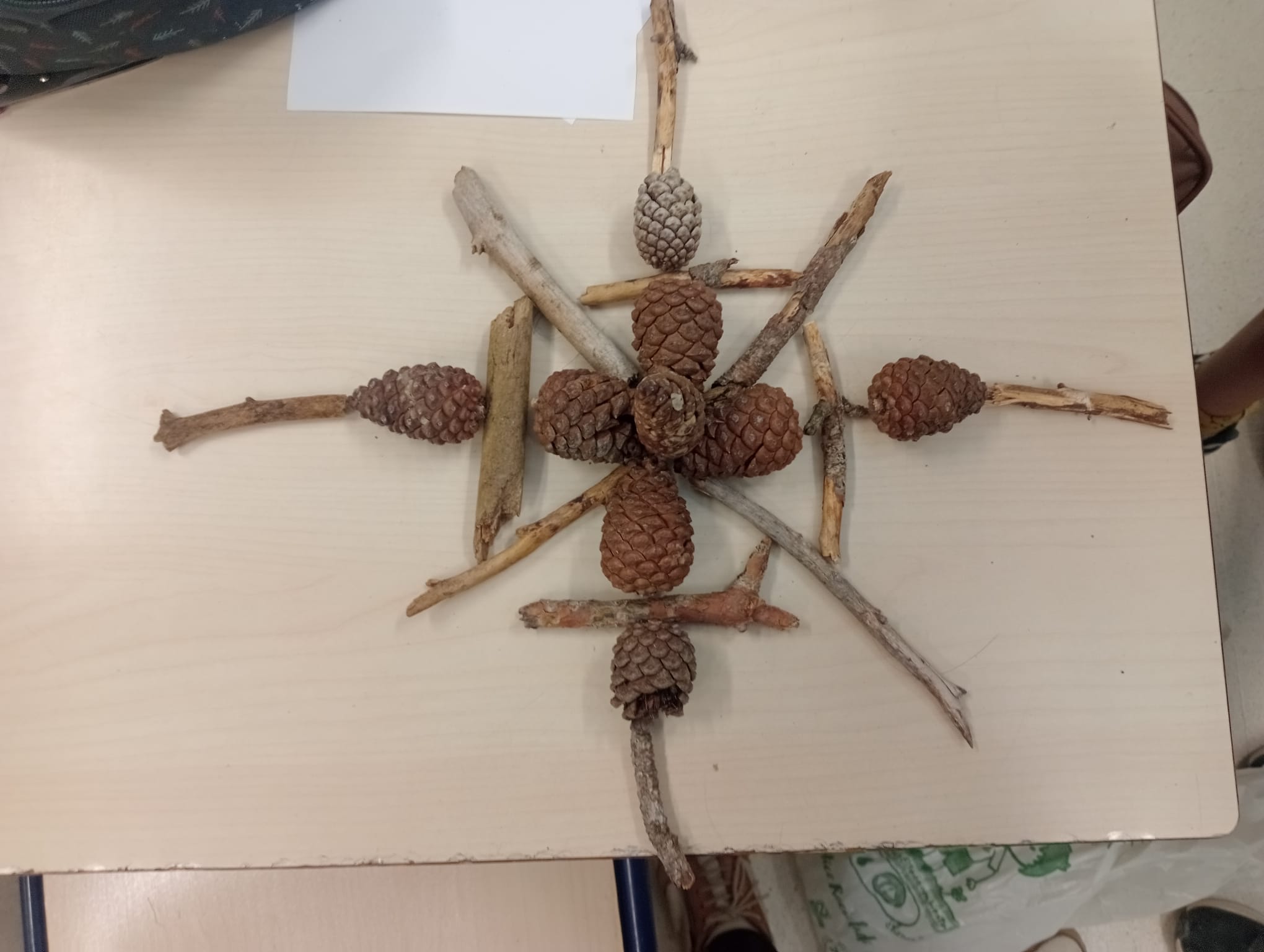 elements naturals 13