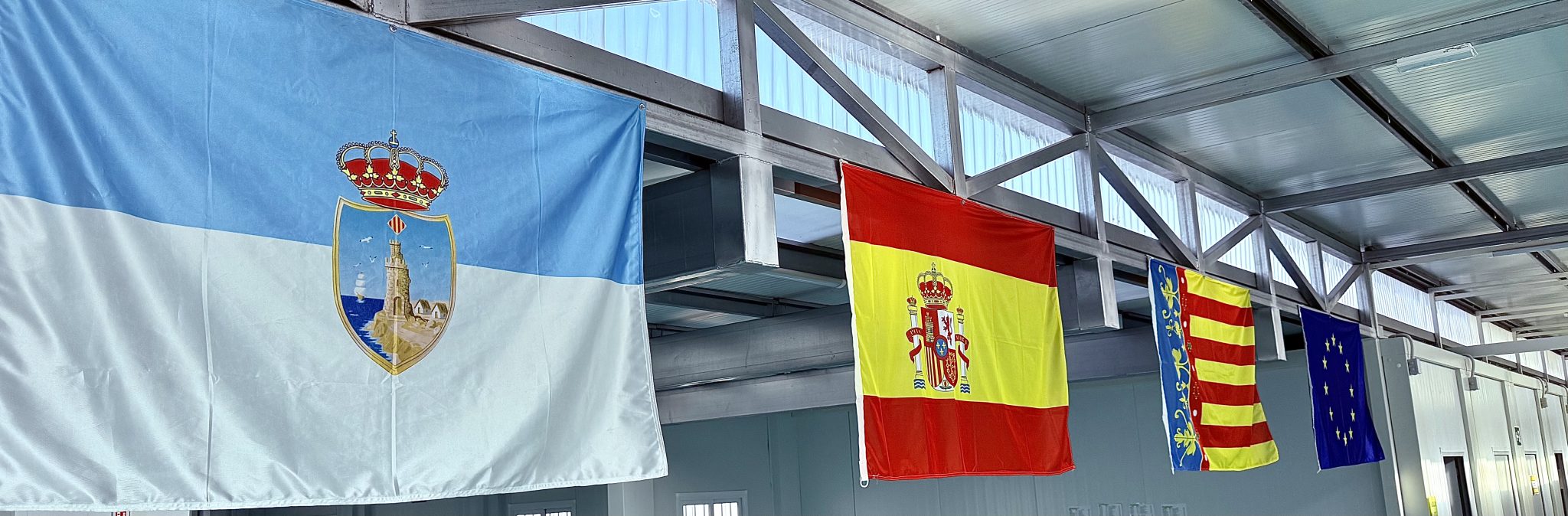 Logo Sección del IES Torrevigía en Torrevieja