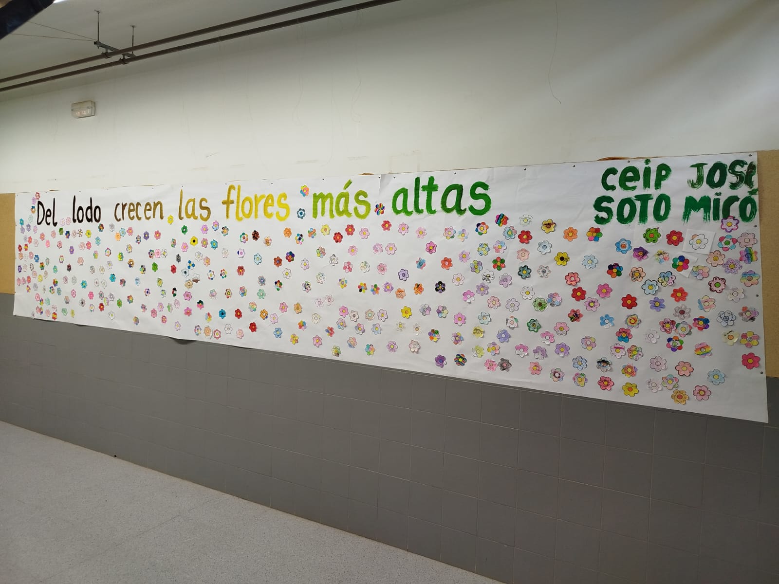 WhatsApp Image 2025-11-08 at 23.49.16