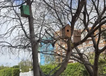 TECNOLOGÍA 1ESO