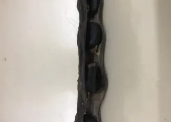 ÁMBITO CIENTÍFICO 3PDC