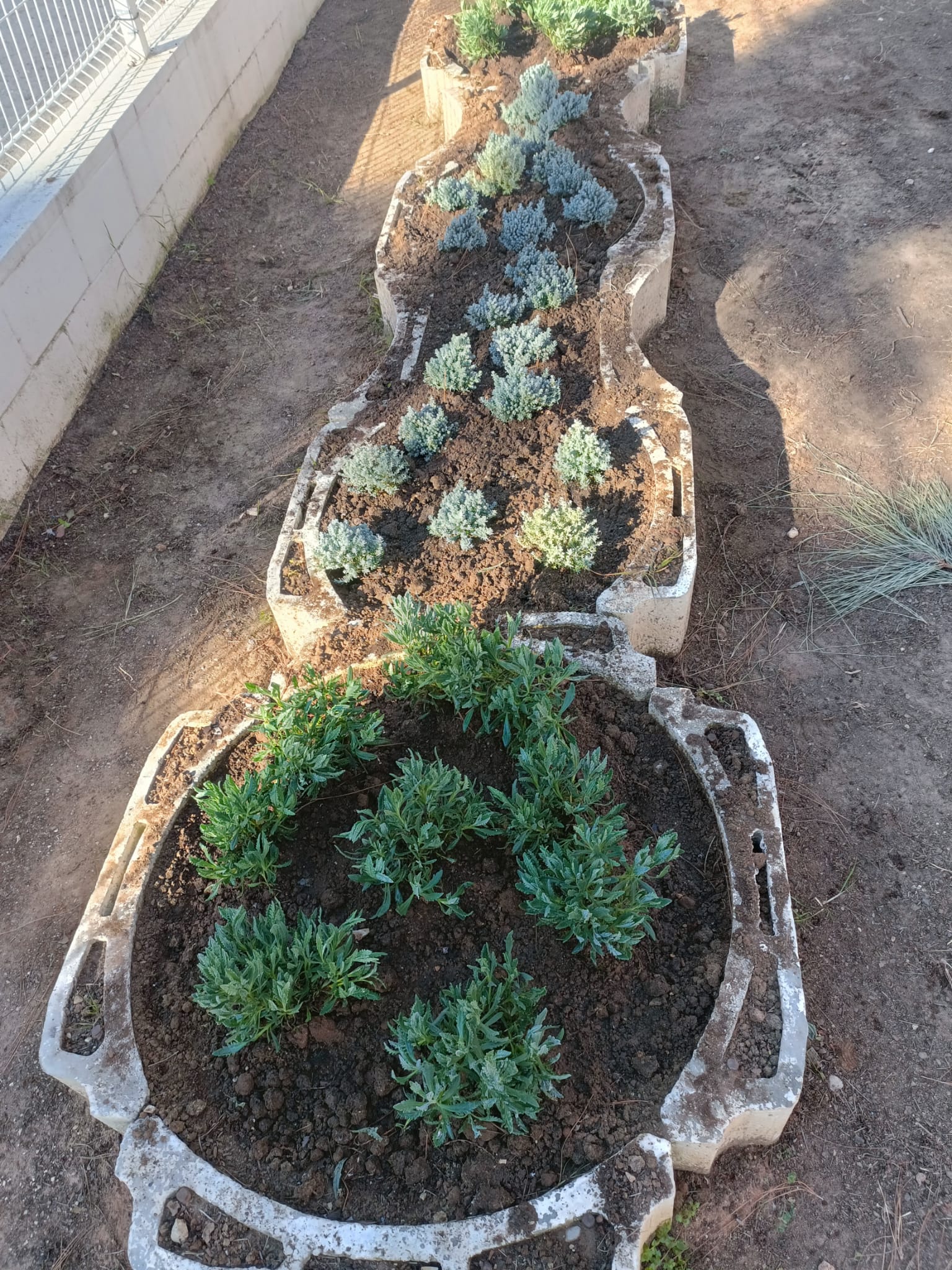 PHOTO-2025-02-07-11-40-03 5