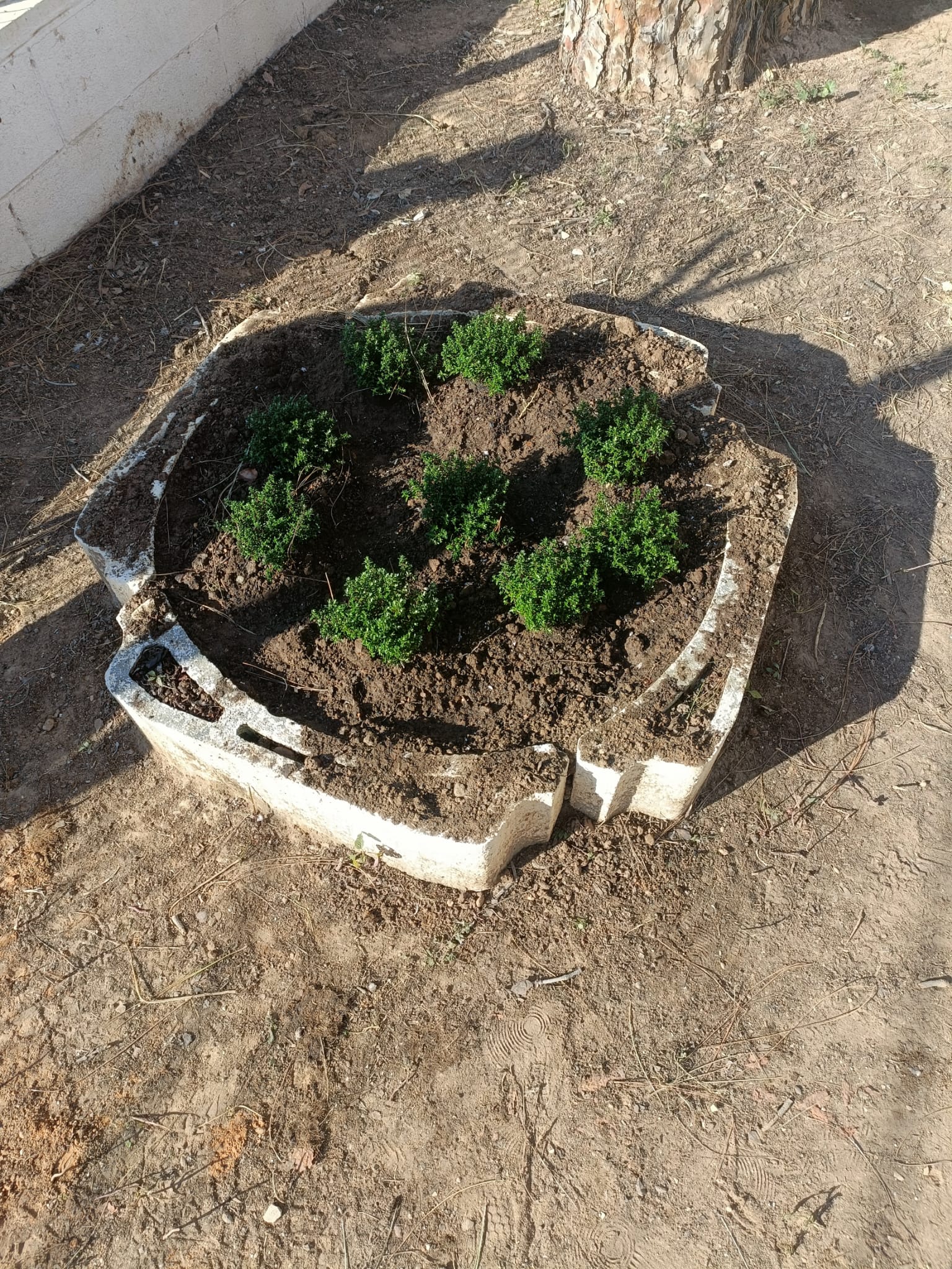 PHOTO-2025-02-07-11-40-04