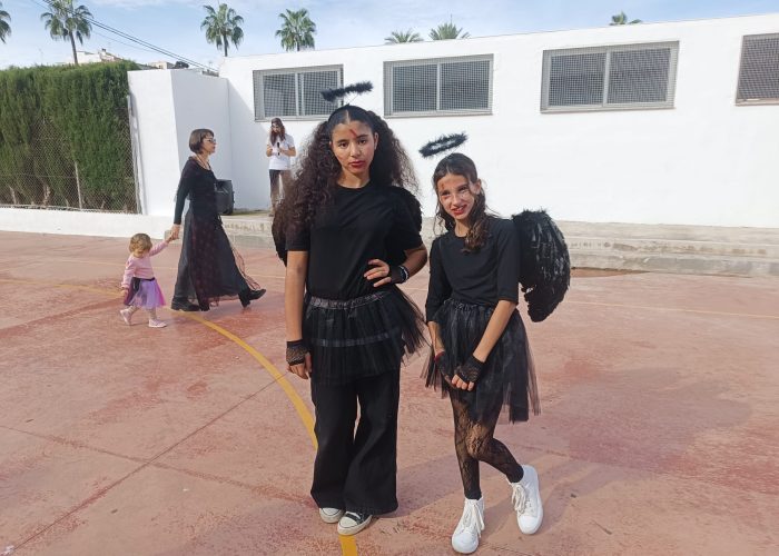 WhatsApp Image 2025-11-05 at 19.22.54