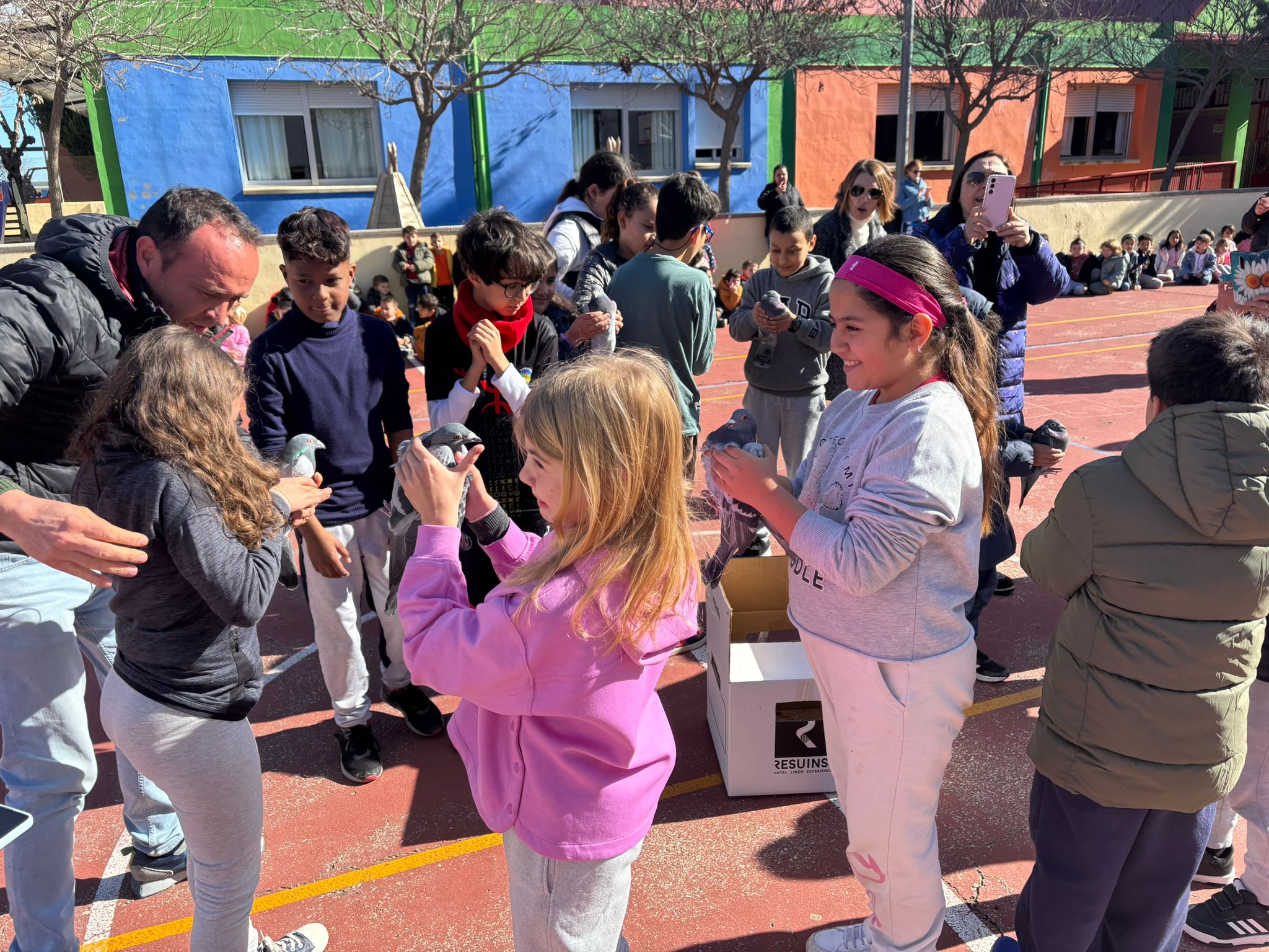 WhatsApp-Image-2025-01-30-at-12.40.07