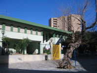 Imatge del centre 46003676